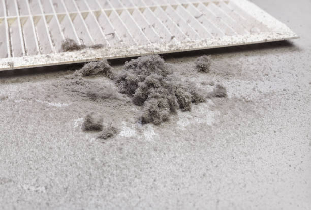 Best HVAC Air Duct Cleaning  in Gloucester Courthouse, VA