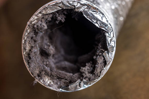 Best Residential Air Duct Cleaning  in Gloucester Courthouse, VA