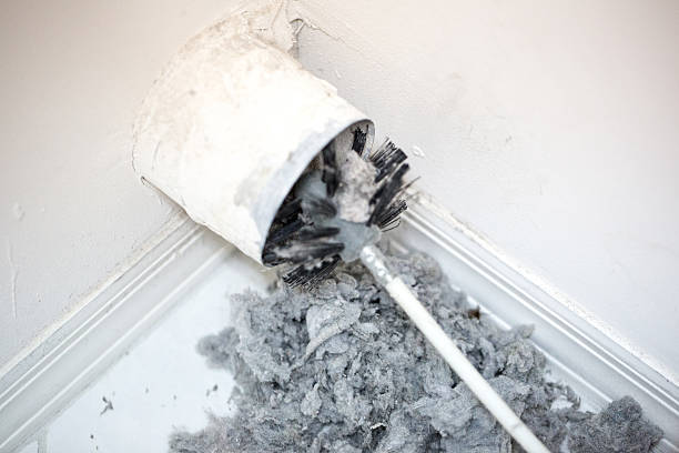 Best Air Quality Test  in Gloucester Courthouse, VA